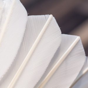 Junior coaching for KS3, KS4 and KS5 - Saturdays at 10.30am, Spring 2026