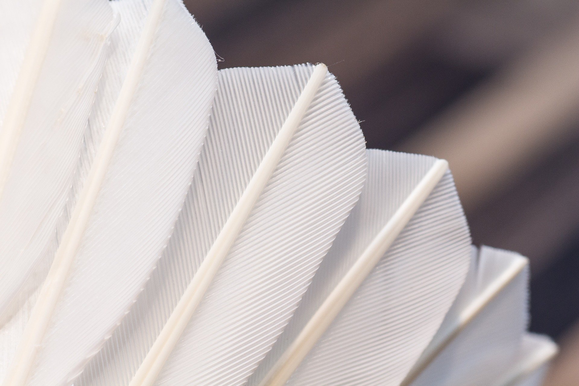 Junior coaching for KS3 and KS4 - Saturdays at 9am, Spring 2026