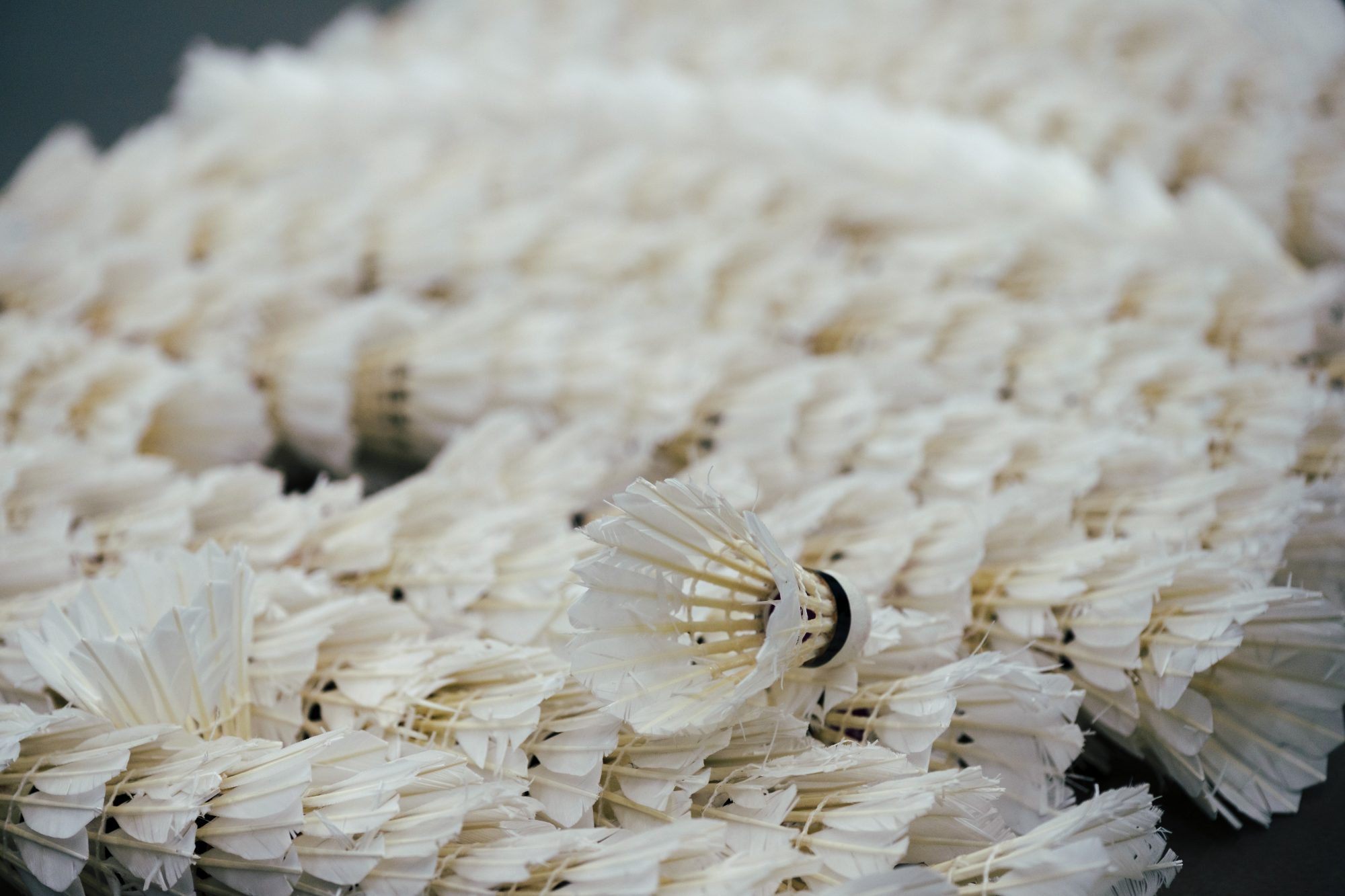 Chew Valley badminton